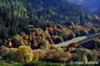 cevennes, automne, 2025,